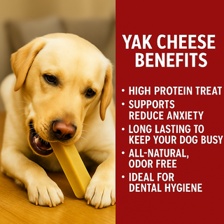 Natural Himalayan Cheese Chew for Dogs