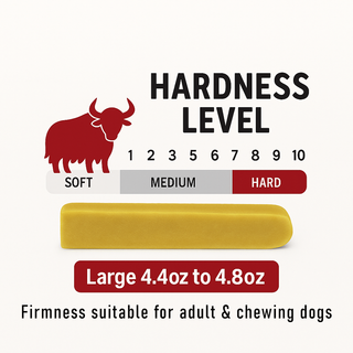 Natural Himalayan Cheese Chew for Dogs