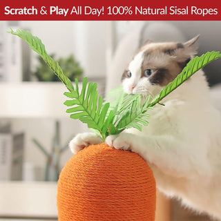 Carrot Cat Scratcher