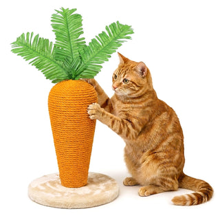 Carrot Cat Scratcher