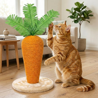 Carrot Cat Scratcher