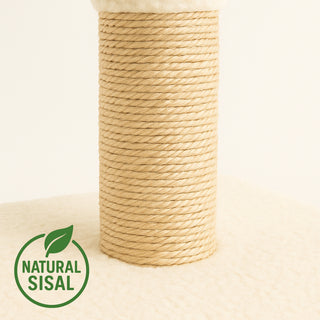 Kitty Cat Play Scratching Post