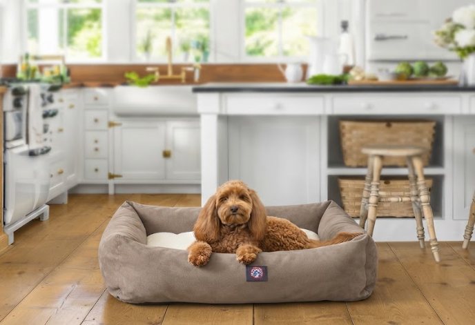 A dog relaxing in a Majestic Pet taupe bed in a bright home kitchen