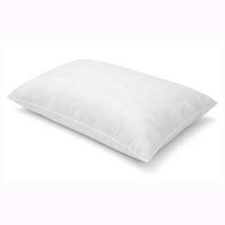 Replacement Insert for Pillow Dog Beds