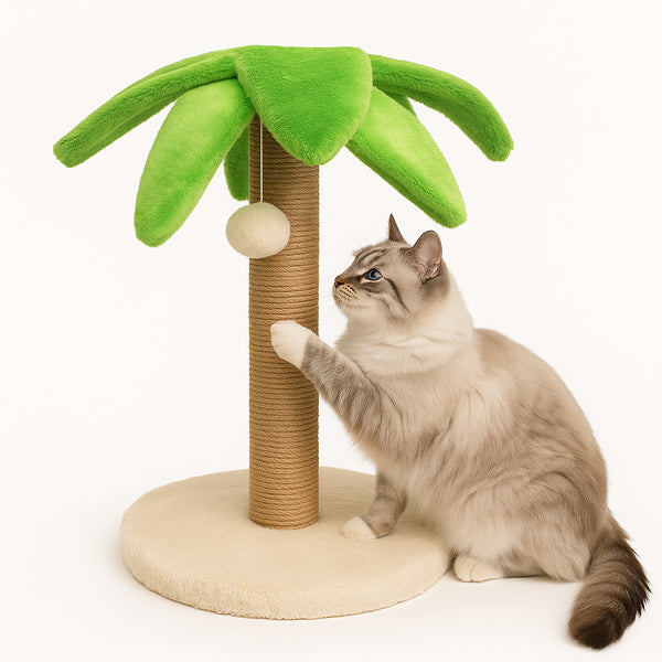 cat scratching post palm tree Palm Tree Cat Scratcher – Majestic Pet