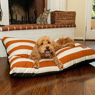 Vertical Stripe Super Value Dog Bed