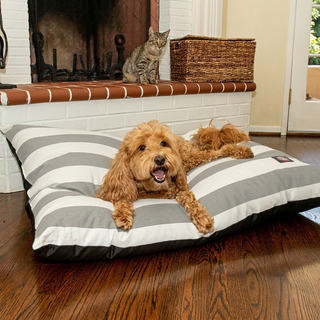 Vertical Stripe Super Value Dog Bed