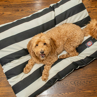 Vertical Stripe Super Value Dog Bed